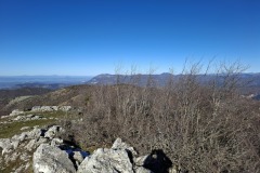 29122024_cerella6